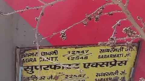 "रेल ट्रैक पर हुआ भीषण हादसा, लोगों में मची दहशत!"