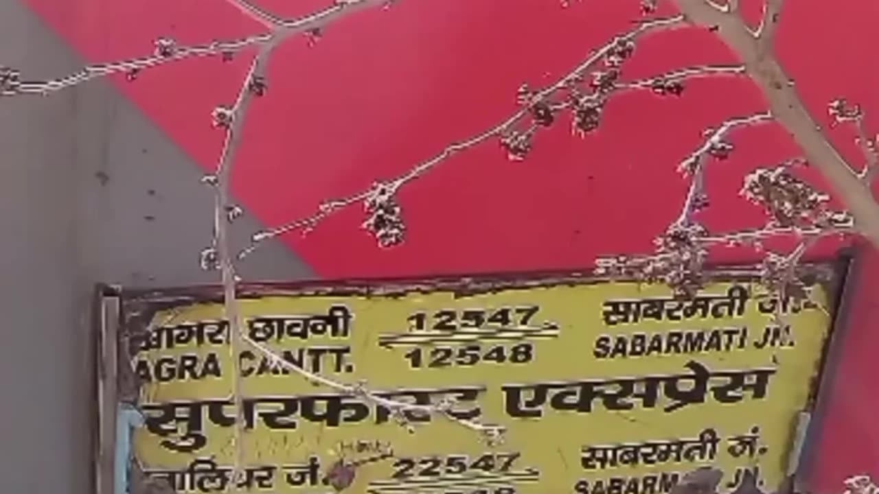 "रेल ट्रैक पर हुआ भीषण हादसा, लोगों में मची दहशत!"