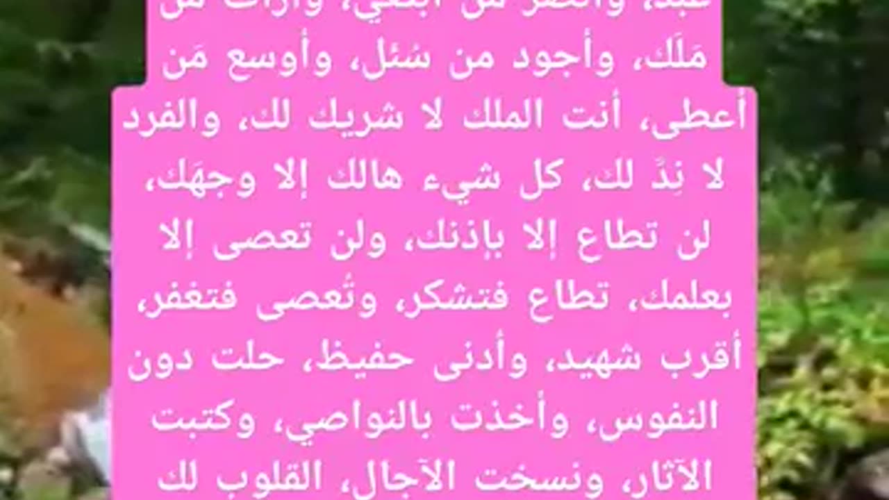 ما هي اعظم مناجاه يوم عرفه