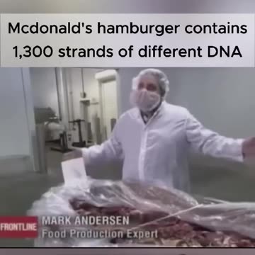 Mcdonalds hamburgers have over 1300 different strains of DNA