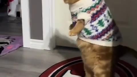 🤣🔄 Reversed It LMAO... This Has Got To Be Even Better! | FunFM