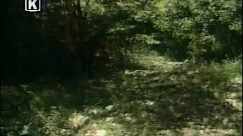 Hermanos - Capítulo 08