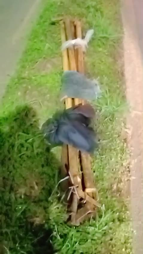 Accidente de tránsito Floridablanca