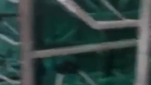 😱👻 This Ouija Board Session Will Give You Nightmares! Ouija, Jinn, Aliens, Poltergeist, UFO | TheHau