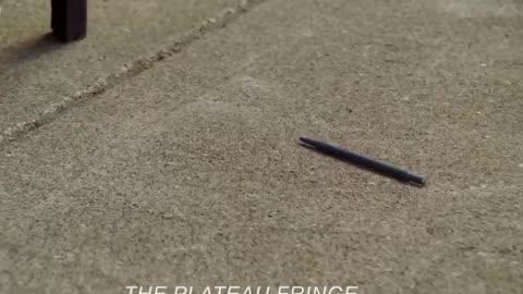 🧠✏️ The Calculated Kill – Genius Assassin’s Deadly Equation