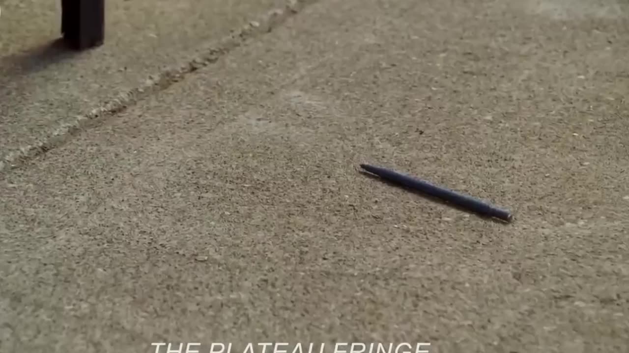 🧠✏️ The Calculated Kill – Genius Assassin’s Deadly Equation