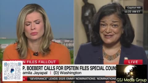 Jayapal - I Was Too Busy To Focus On Epstein