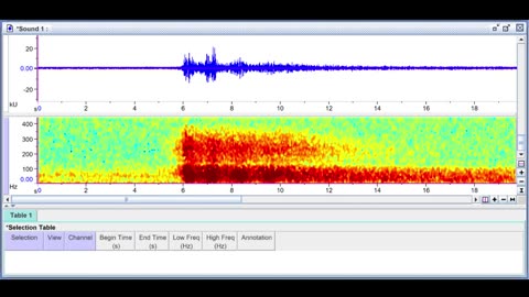 The Titan Submersible Coast Guard Marine Board of Investigation - Implosion Audio