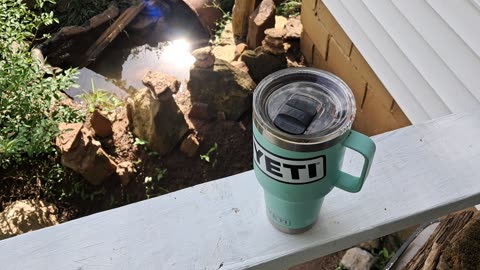 MORNING...COFFFEE...SUNLIGHT IN POND...RAAMMMMMMMMM...