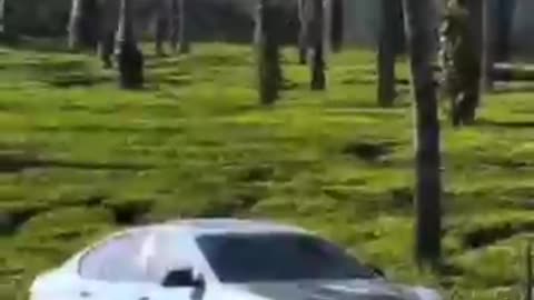 BMW edits