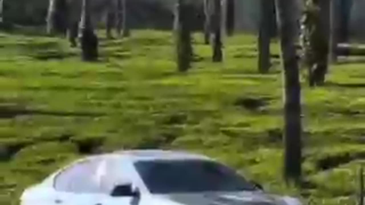 BMW edits