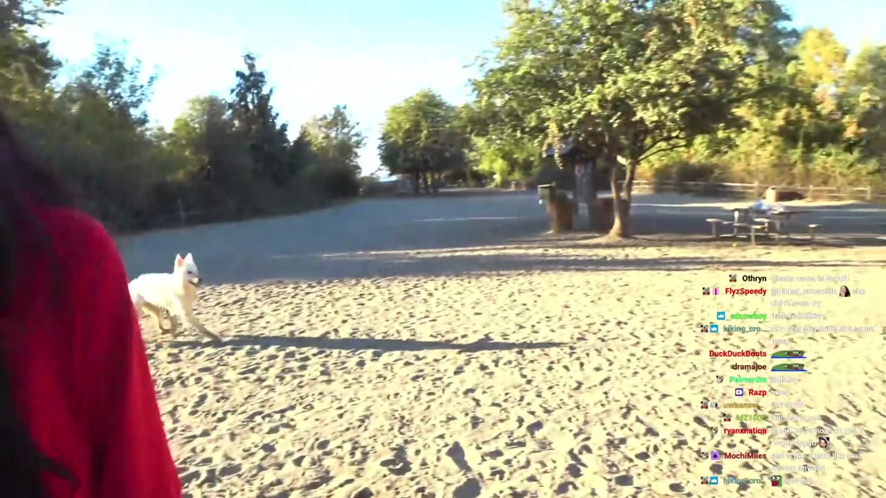 [10/11/22] Puppy walk day with Ein, ft. !Hachu