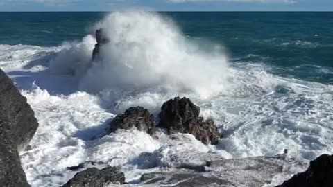 3M TV Relaxation 🌊 Wild Ocean Waves & Water Stream 🌿 Forest Birds Chirping 🐦 Chill & Meditation