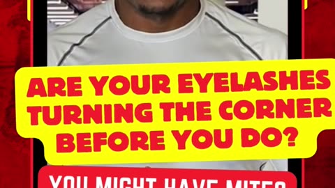 Are Your Eyelashes Turning the Corner Before You Do? You Might Have Mites