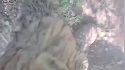 🛡️👨‍🦳 Ukraine Russia War | Russian Forces' Adaptive Camouflage Suit | RCF