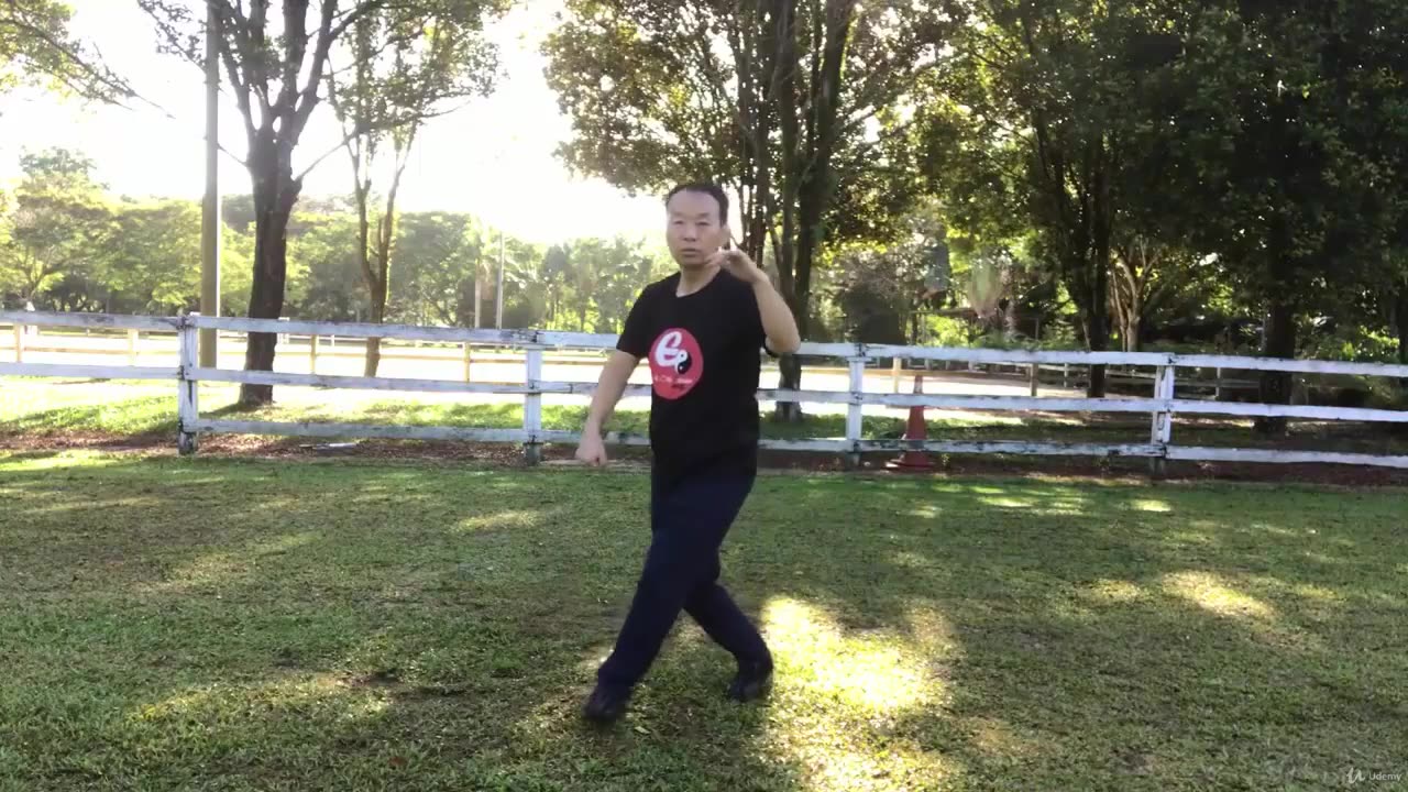 Aerobic Tai Chi Workout-040-Leap and Low Burst Punch