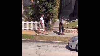 Daddy Goat 24/7 - Out Of Context Memes & Videos