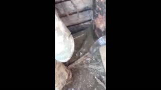 Daddy Goat 24/7 - Out Of Context Memes & Videos