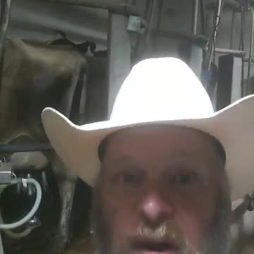 Farmer gives epic response to Ana Navarro saying that milking cows is god-awful work