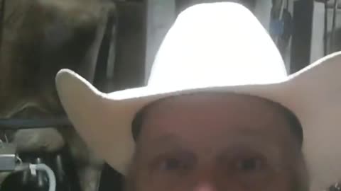 Farmer gives epic response to Ana Navarro saying that milking cows is god-awful work