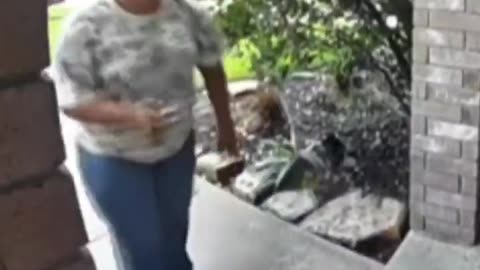Mexican stealing delivery