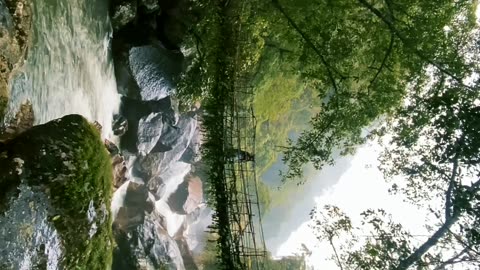 Single Living Root Bridge – A Rainy Descent into Nongriat, Cherrapunjee