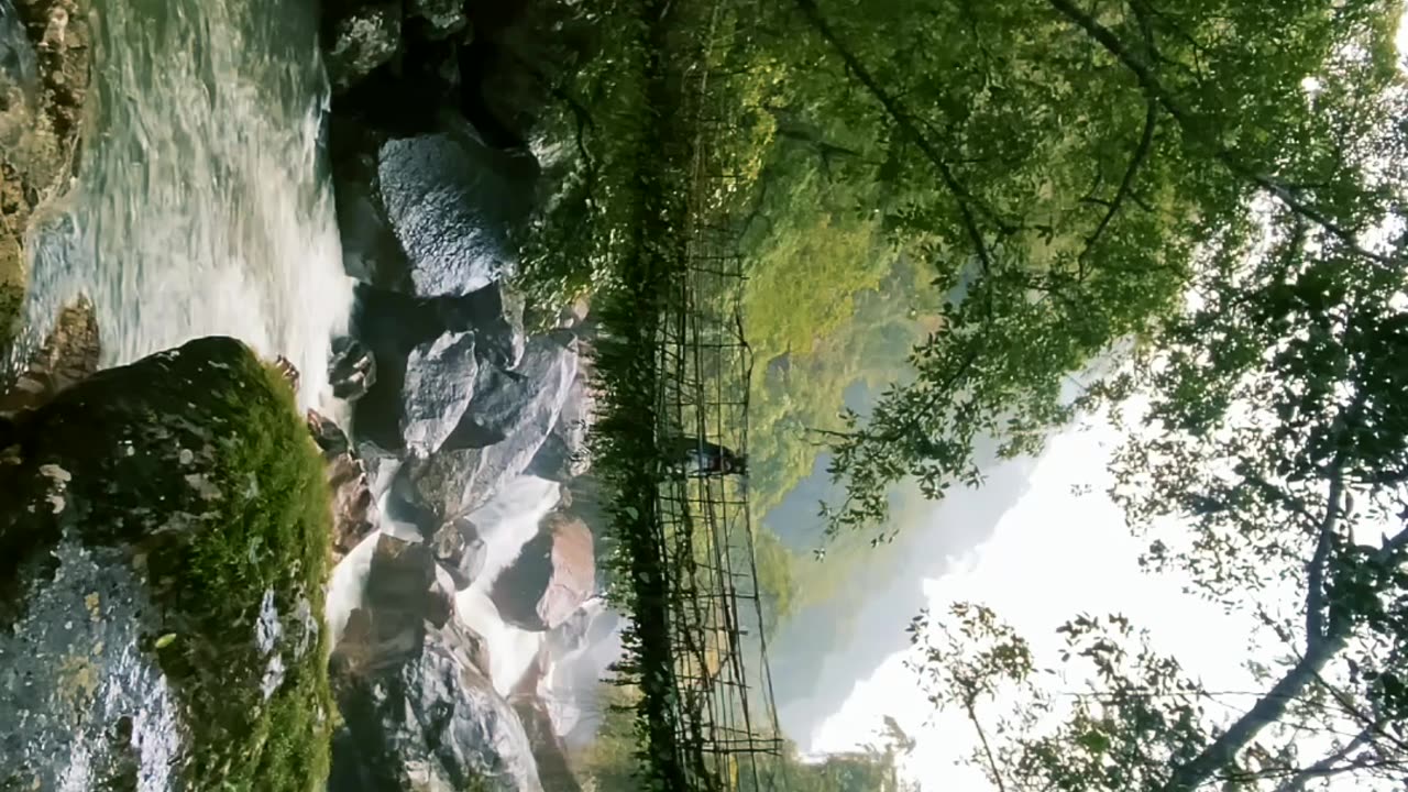 Single Living Root Bridge – A Rainy Descent into Nongriat, Cherrapunjee