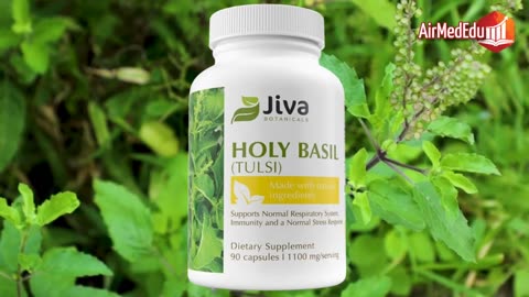 45 Beneficios de la Albahaca Sagrada