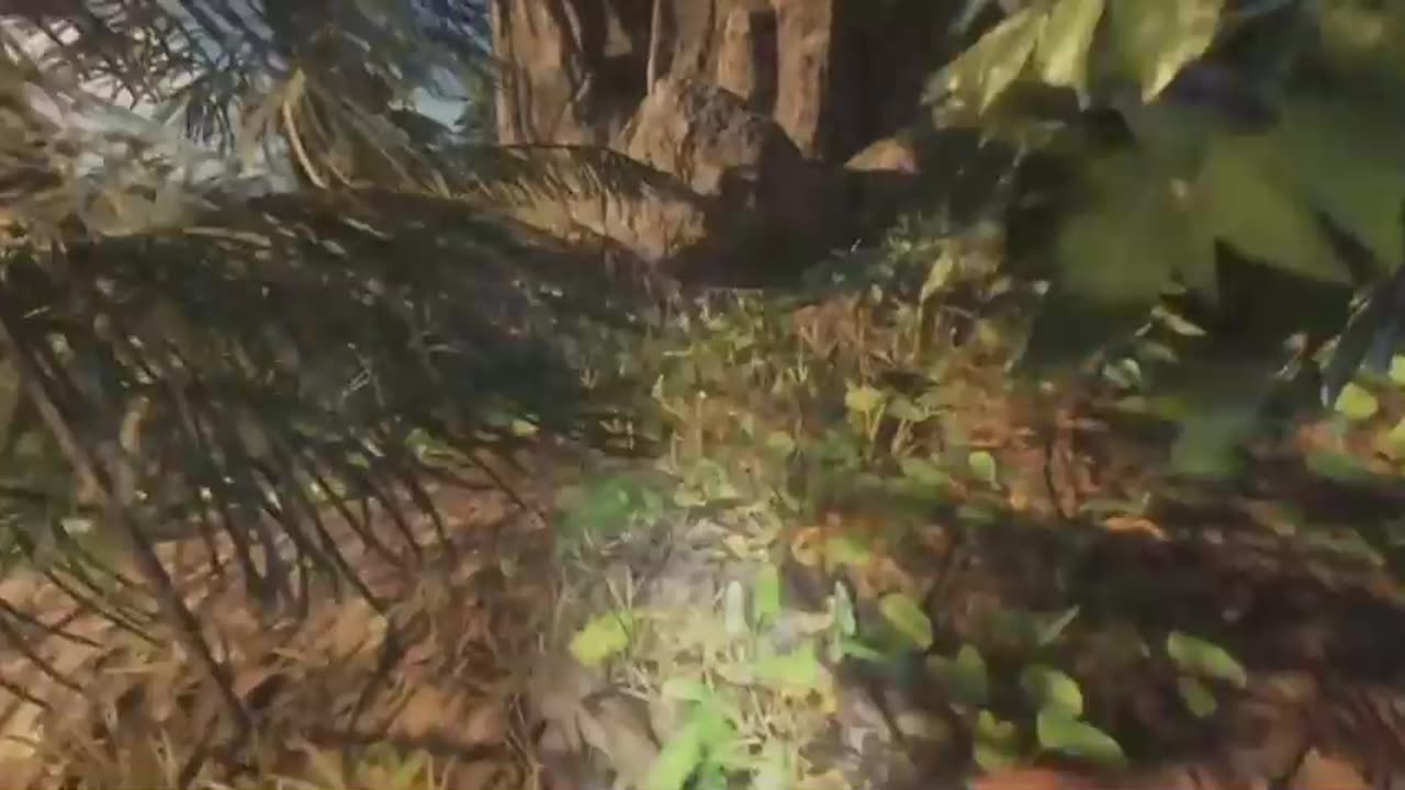 No Pressure, Just Game – Live