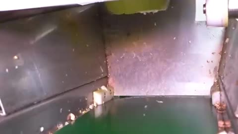 Taiwanese Pomelo Harvest, Dried Pomelo Production