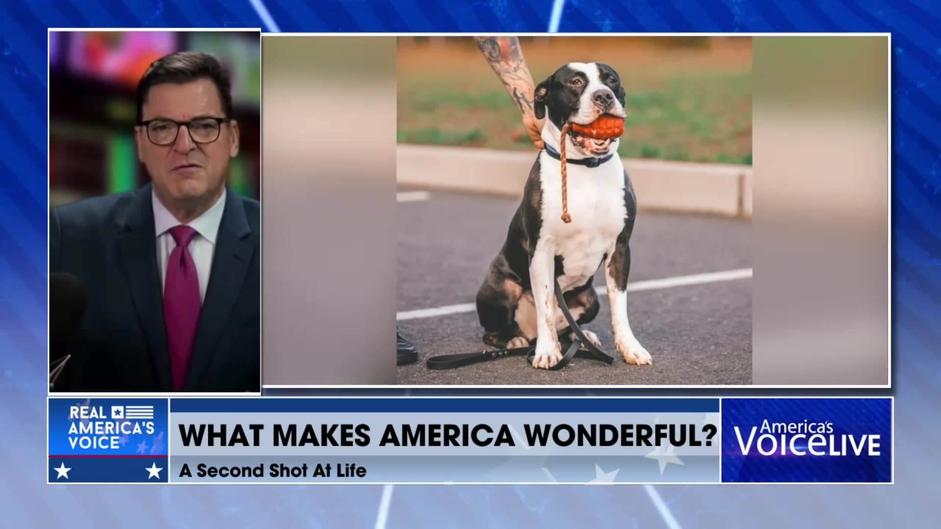 FROM DEATH ROW TO K-9 HERO: PIT BULL RON’S SECOND CHANCE