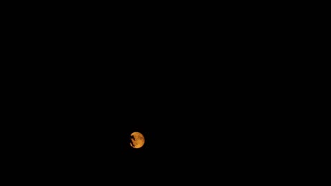 Red Moon really a STANDARD at its low elevation angles! #skycentrism #newscienceprojects #evening