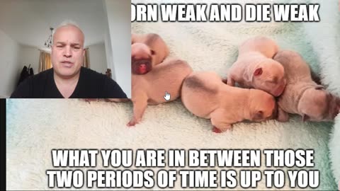 Random Jason Blaha Roast #4