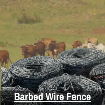 Barbed Wire