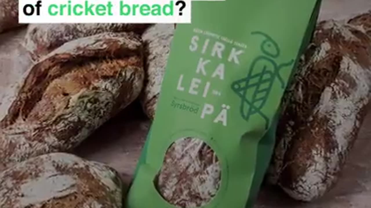 Finland | Bugs in bread