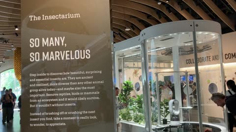 Insectarium @ Gilder (American Museum of Natural History) 1
