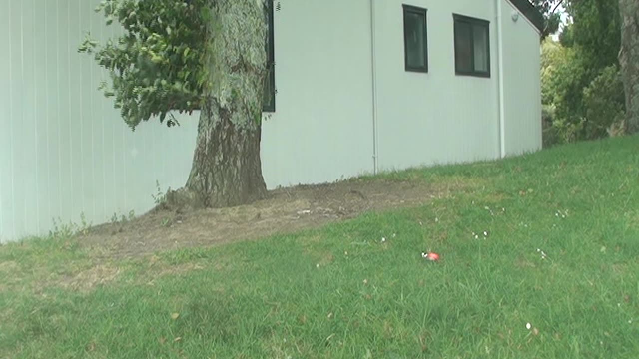 162