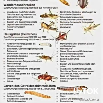 Diese Botschaft richtet sich auch an die einfachsten Gemüter unter uns.