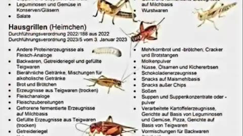 Diese Botschaft richtet sich auch an die einfachsten Gemüter unter uns.