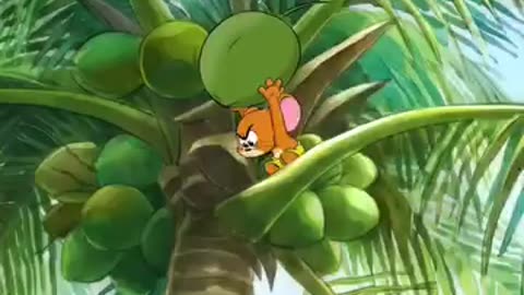Funny videos