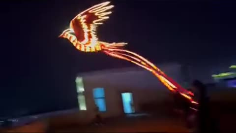 Flying 🕊️#viral #trending