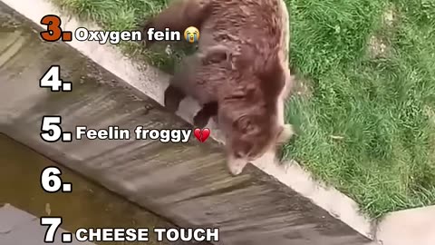 Funniest to Watch!