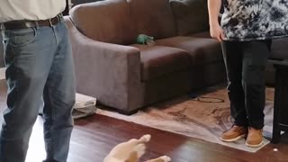 Hi I'm George .Practice short 3