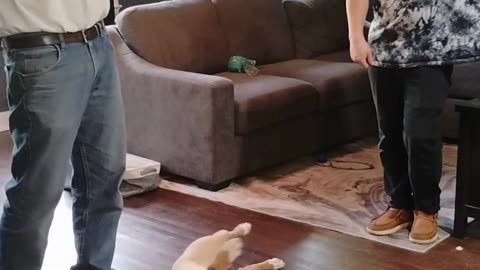 Hi I'm George .Practice short 3