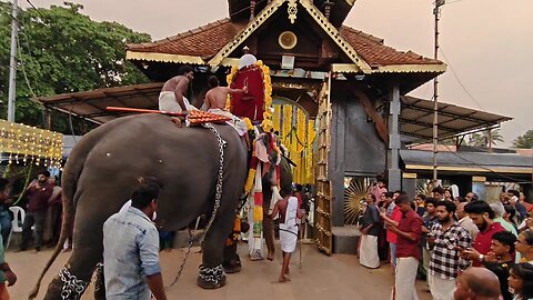 kerala elephant traditional -cultural rituals,,, അതിമനോഹരമാണ് ആനകളുടെ ഈ കാഴ്ചകൾ