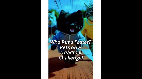 Animals Take Over the Treadmill Challenge!
