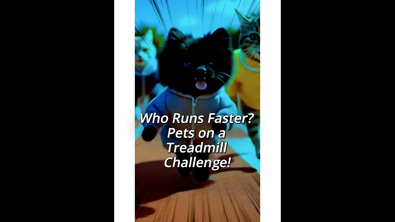 Animals Take Over the Treadmill Challenge!