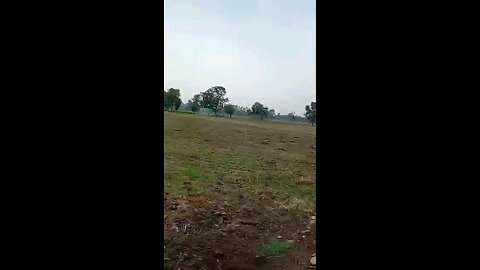satisfying Video