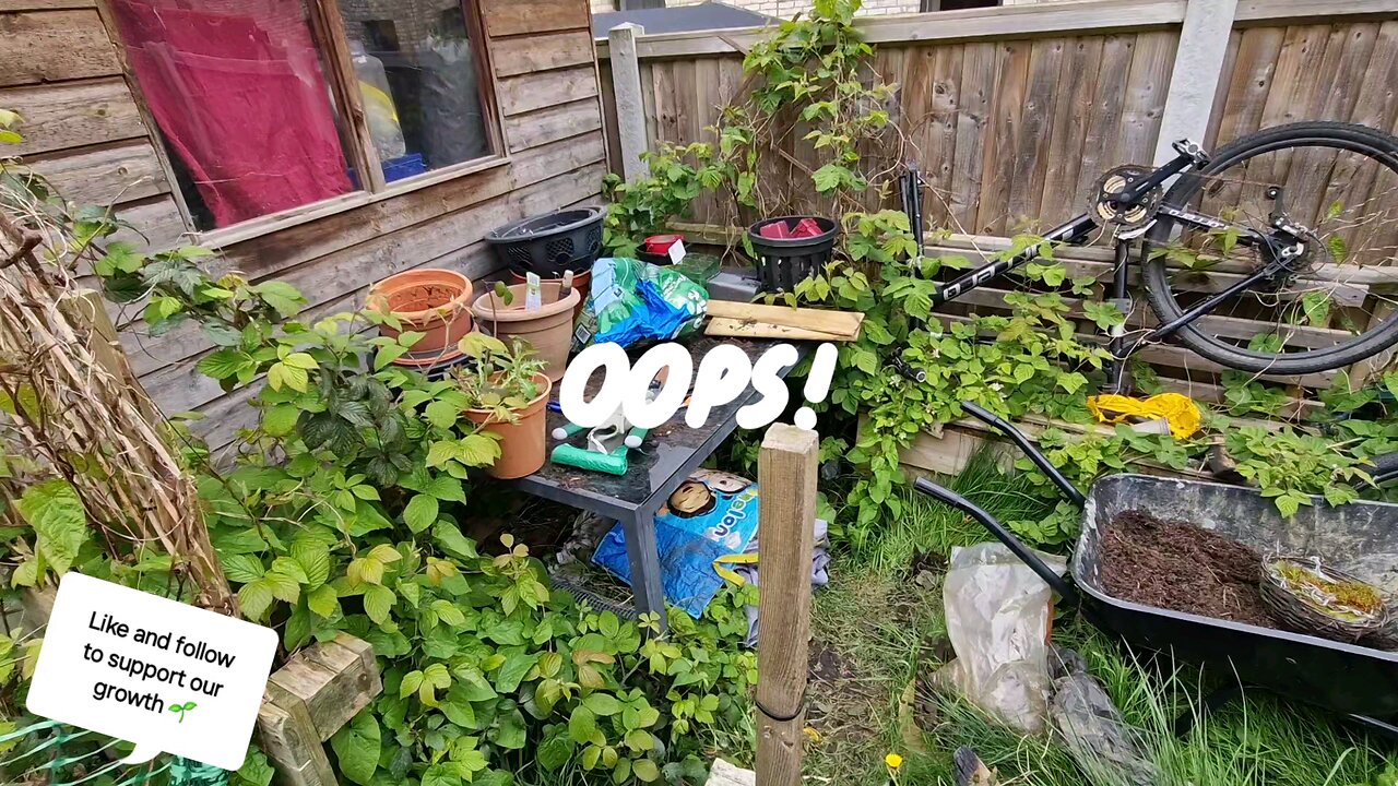 Our overgrown garden has got a out of hand 😅🌱 time for a tidy up!