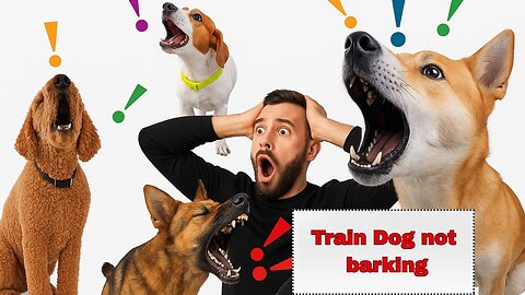 HOW tO train your dog no barking